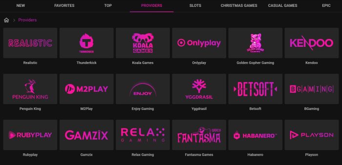Pulsz Bingo providers page showing game studios like Betsoft, BGaming and Yggdrasil