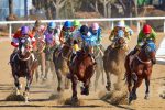 Belmont Stakes Betting Odds