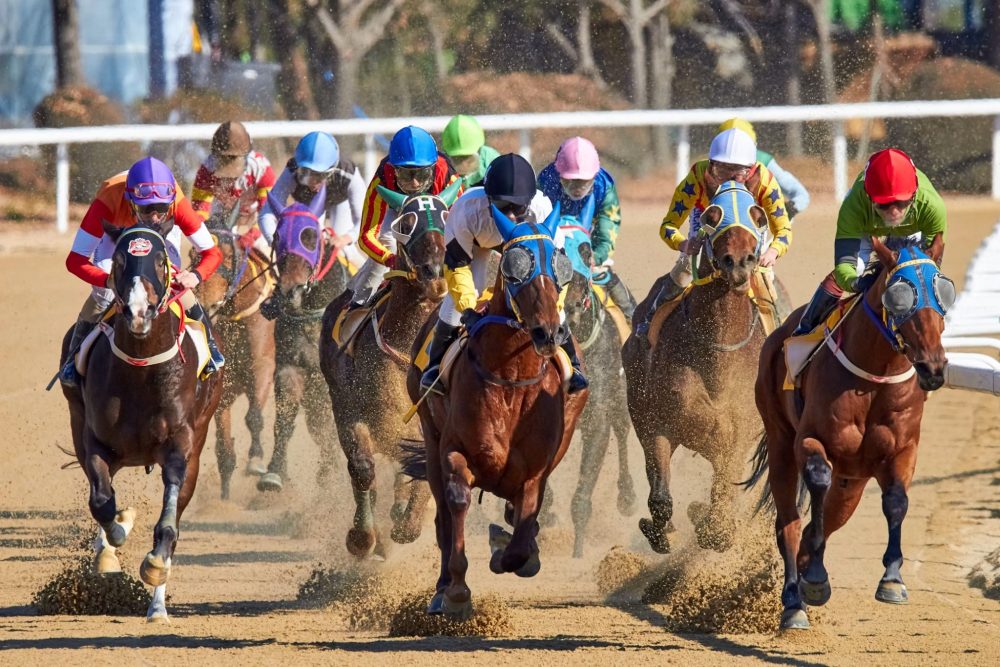 Belmont Stakes Betting Odds