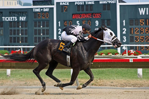 Horse Racing Bet Types
